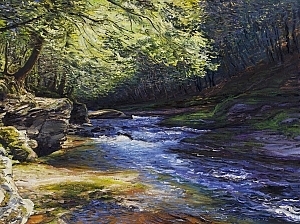 Mercer_Ledgewater-Upper-Beaverkill