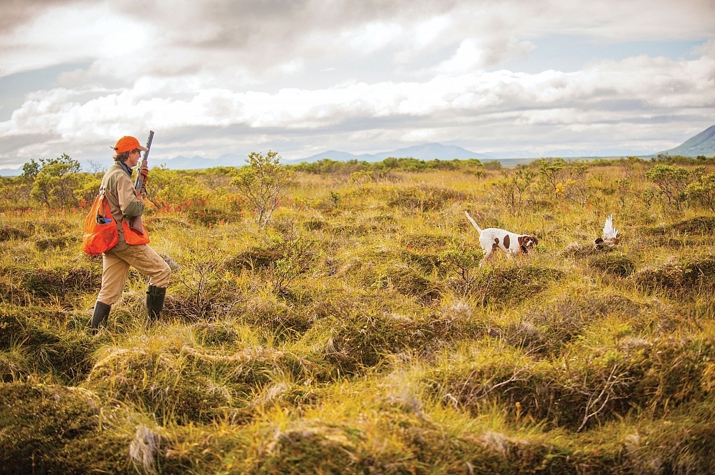 Frozen moments: The author walks up a single under the watchful eye of AK the pointer.