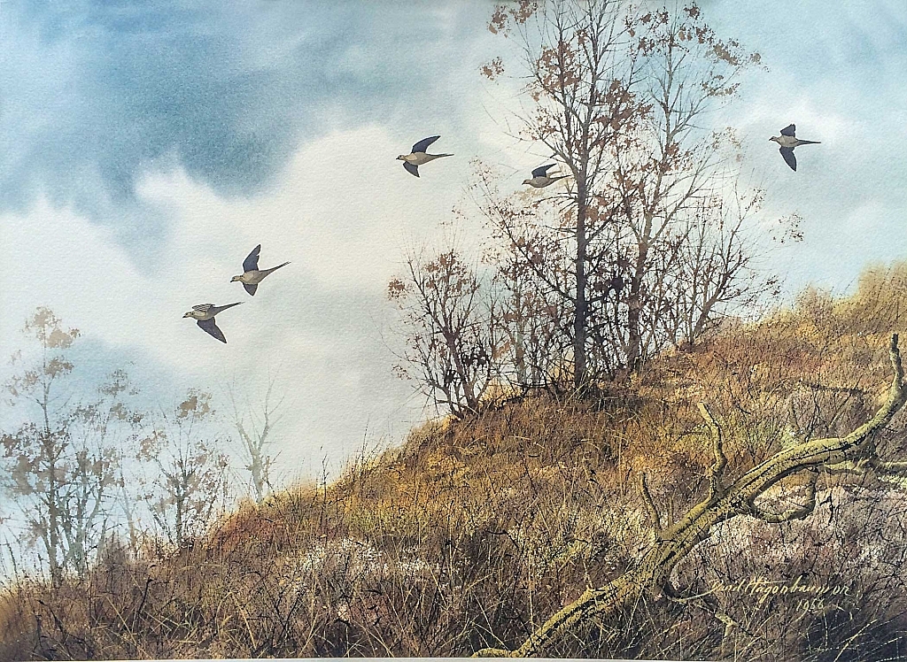 DOVES FLYING OVER A HILLTOP, by David Hagerbaumer
