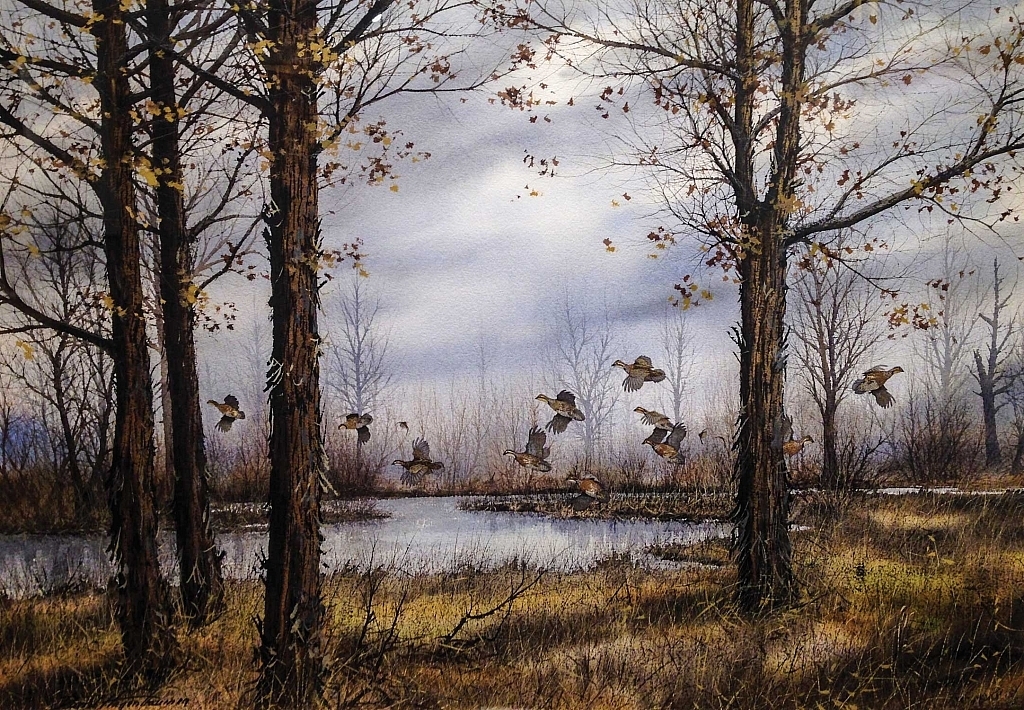 MILL CREEK COVEY QUAIL, by David Hagerbaumer