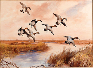 Canvasback Marsh by Roland Clark