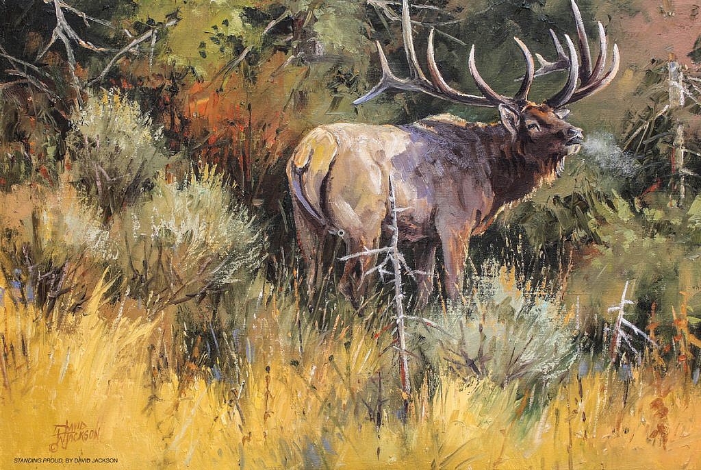 elk hunting