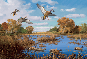 Blue-winged Rendezvous—Blue-winged Teal painting