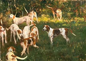 Hounds in the Shade