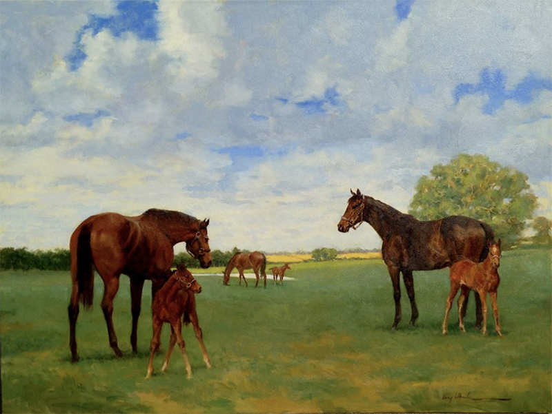 Mare and Foals