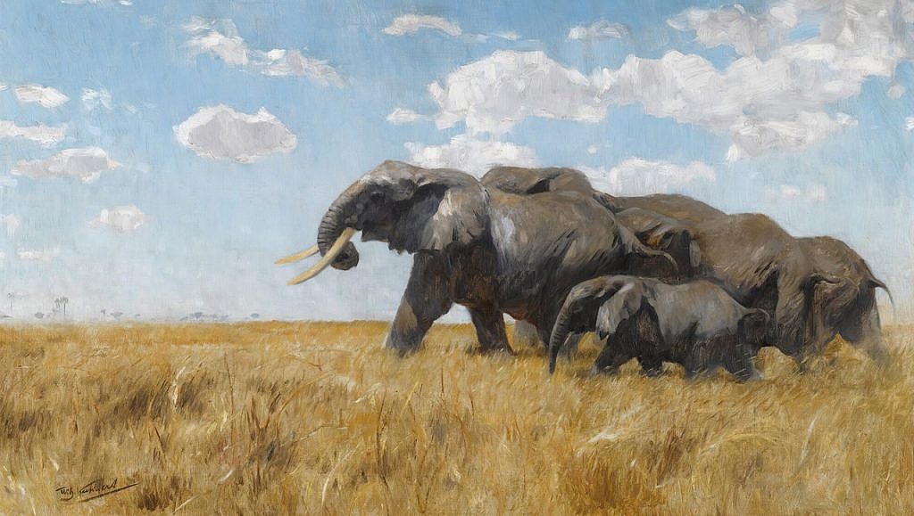 Kuhnert’s Elephants on the Move