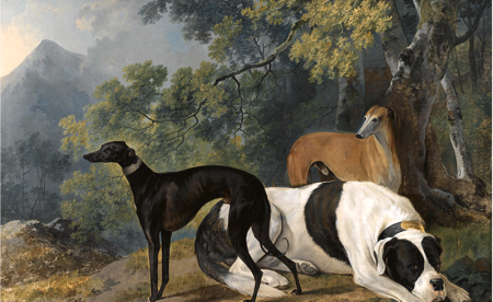 Two Greyhounds and a Mastiff belonging to the Duke of Hamilton, Sawrey Gilpin