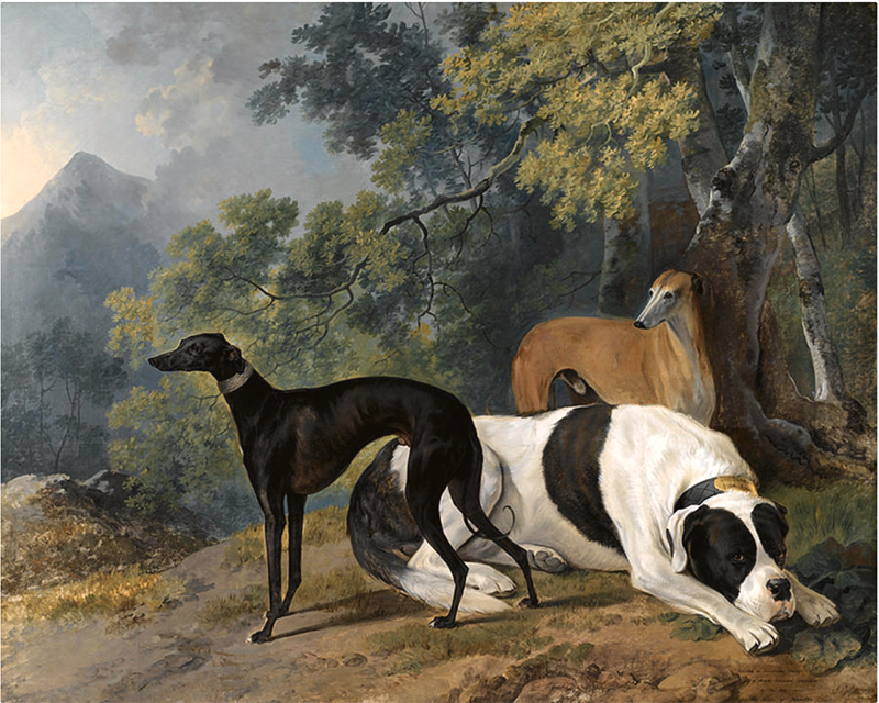 Two Greyhounds and a Mastiff belonging to the Duke of Hamilton, Sawrey Gilpin