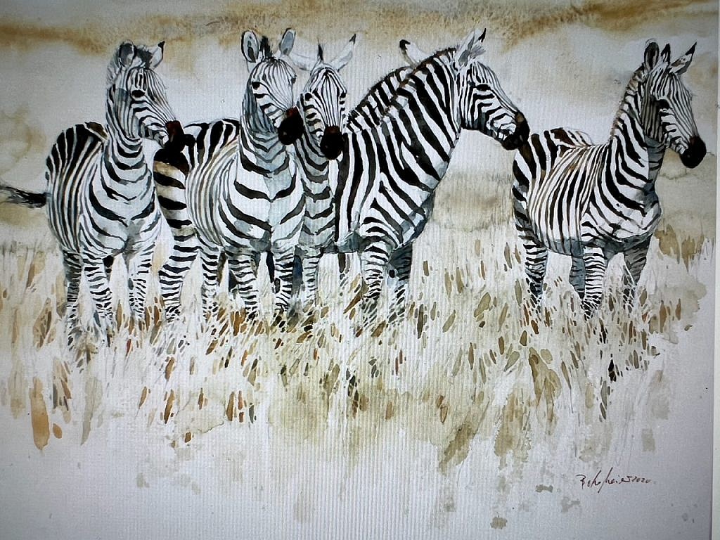 Bodo Meier, Zebra