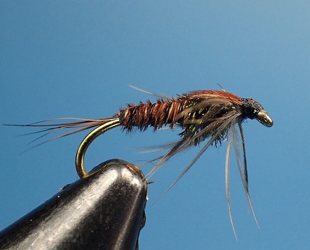Pheasant Tail Nymph