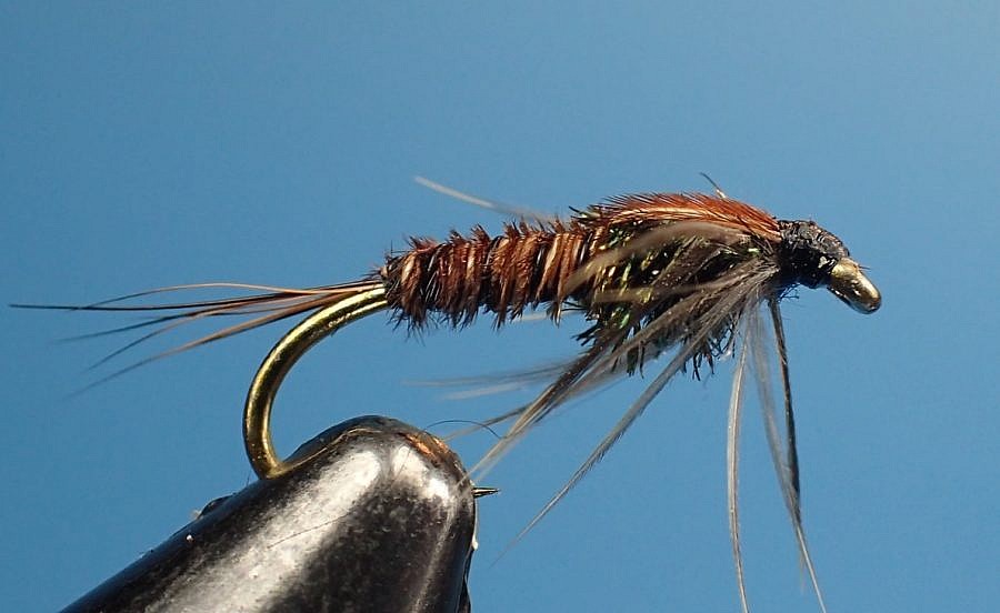 Pheasant Tail Nymph