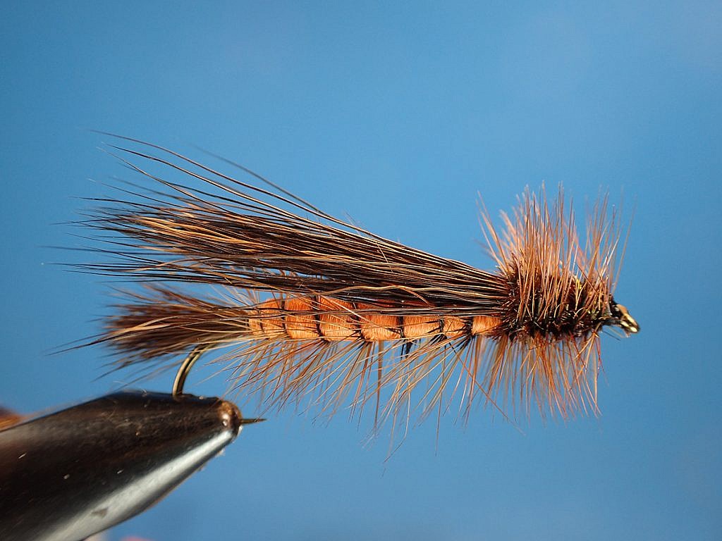 salmon fly