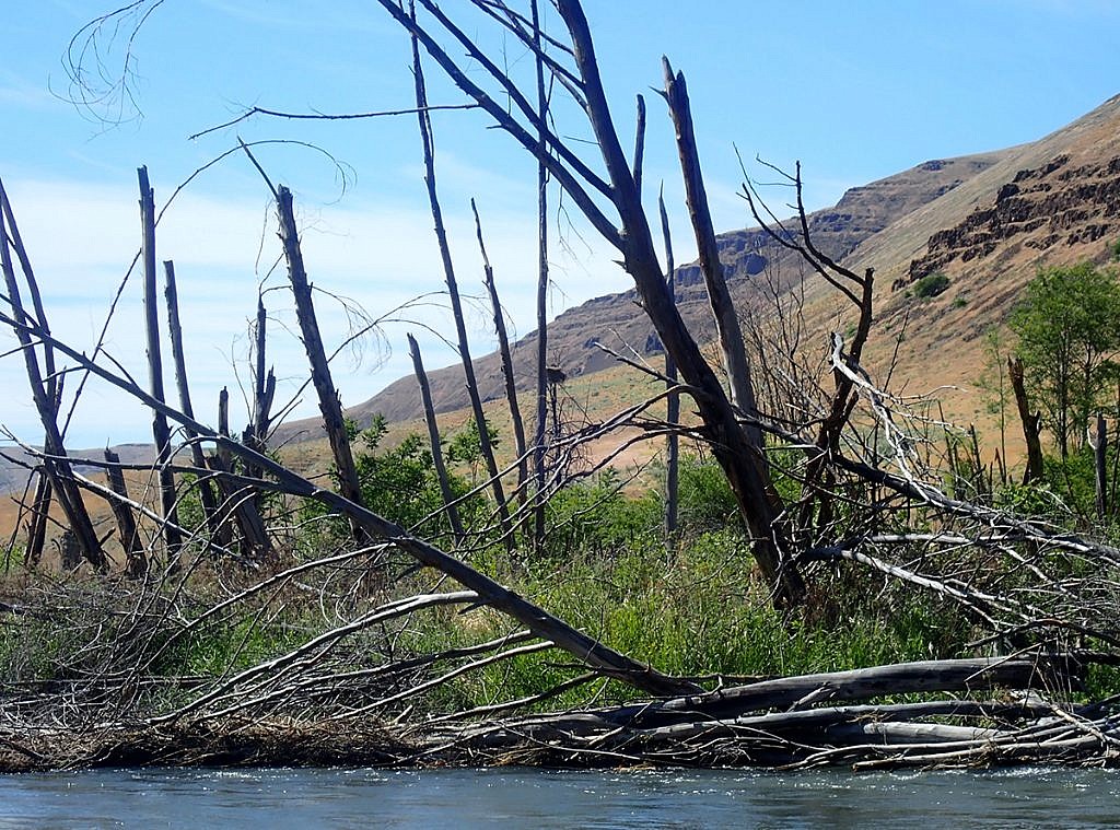 Deschutes River