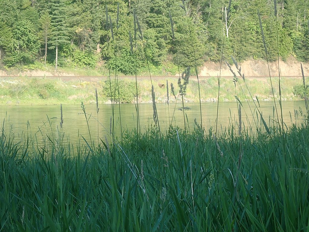 Kootenai River, Idaho