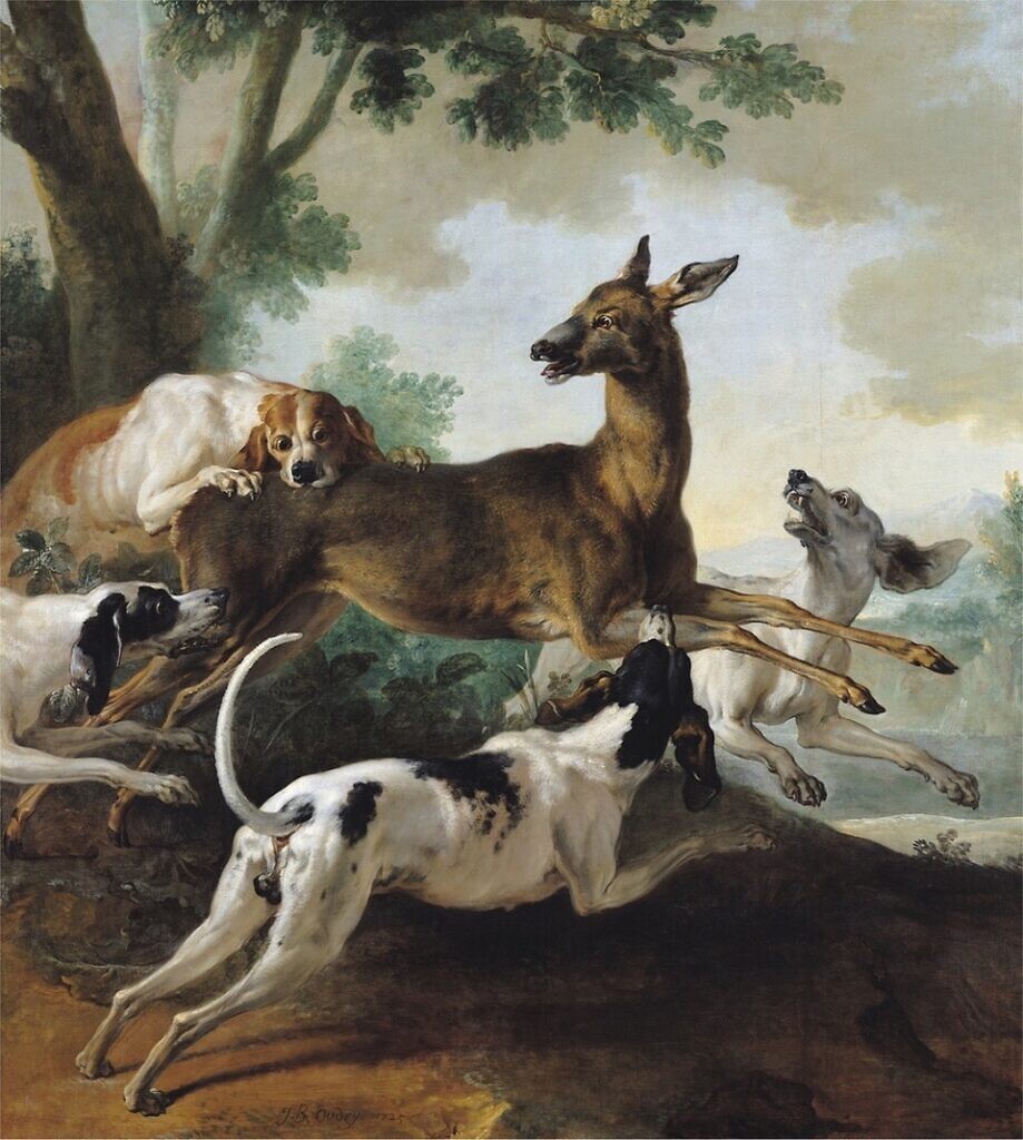 A Roe Deer Chased by Dogs, Jean-Baptiste Oudry (1725), Musée de Beaux-Arts de Rouen