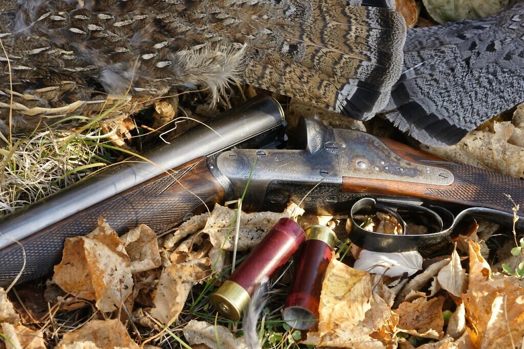 ruffed grouse