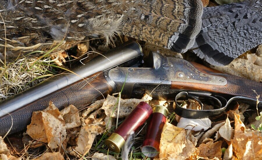 ruffed grouse