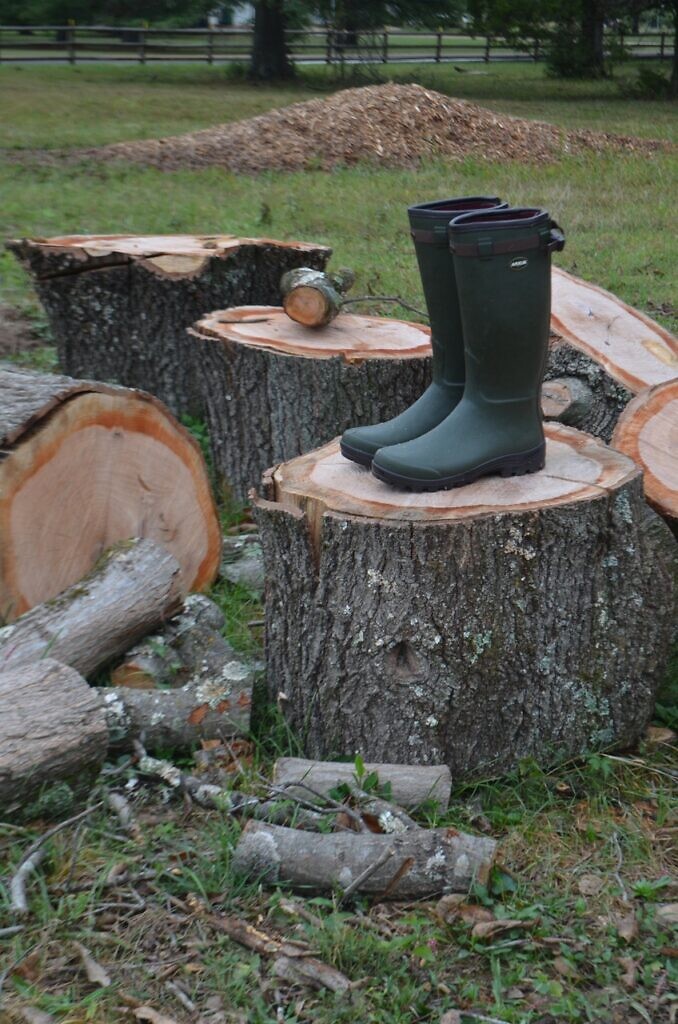 arxus boots