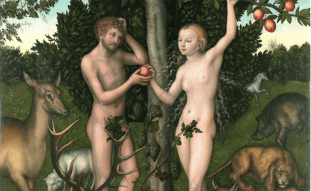 lucas cranach