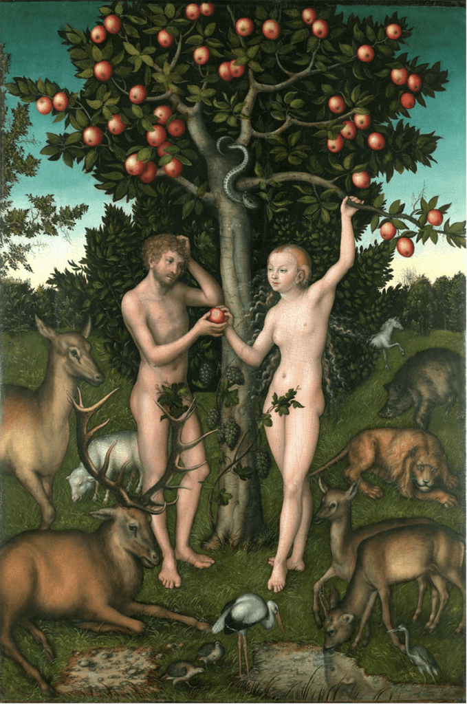 lucas cranach