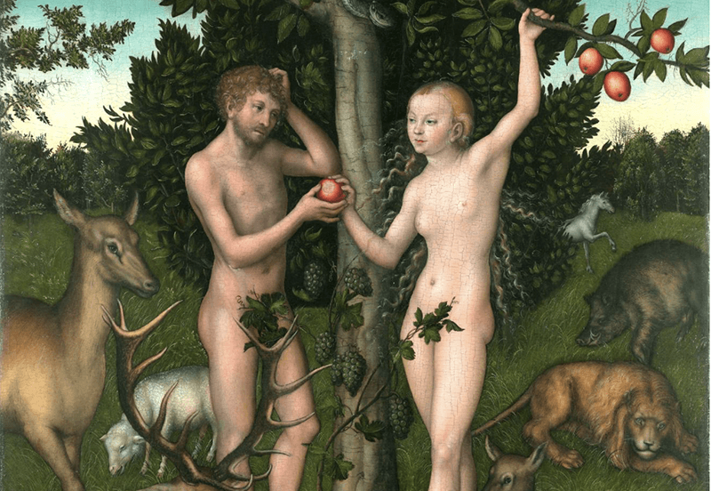 lucas cranach